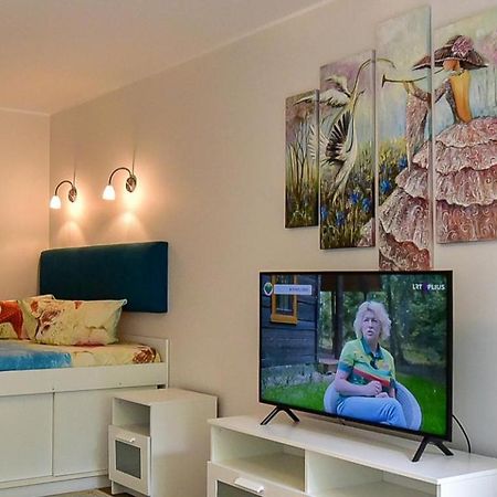Stilingi Apartamentai Su Virtuve Traku Miesto Centre Trakai Kültér fotó