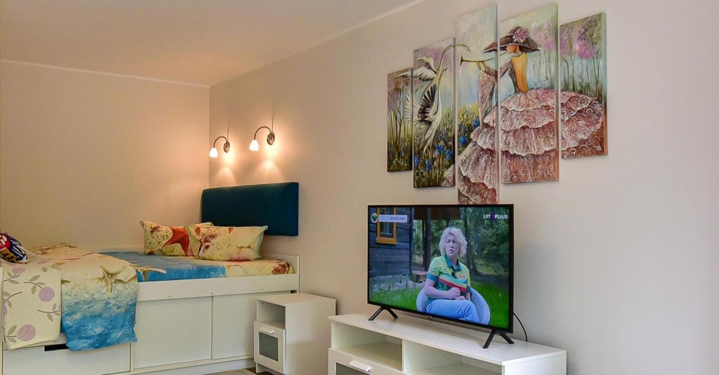Stilingi Apartamentai Su Virtuve Traku Miesto Centre Trakai Kültér fotó