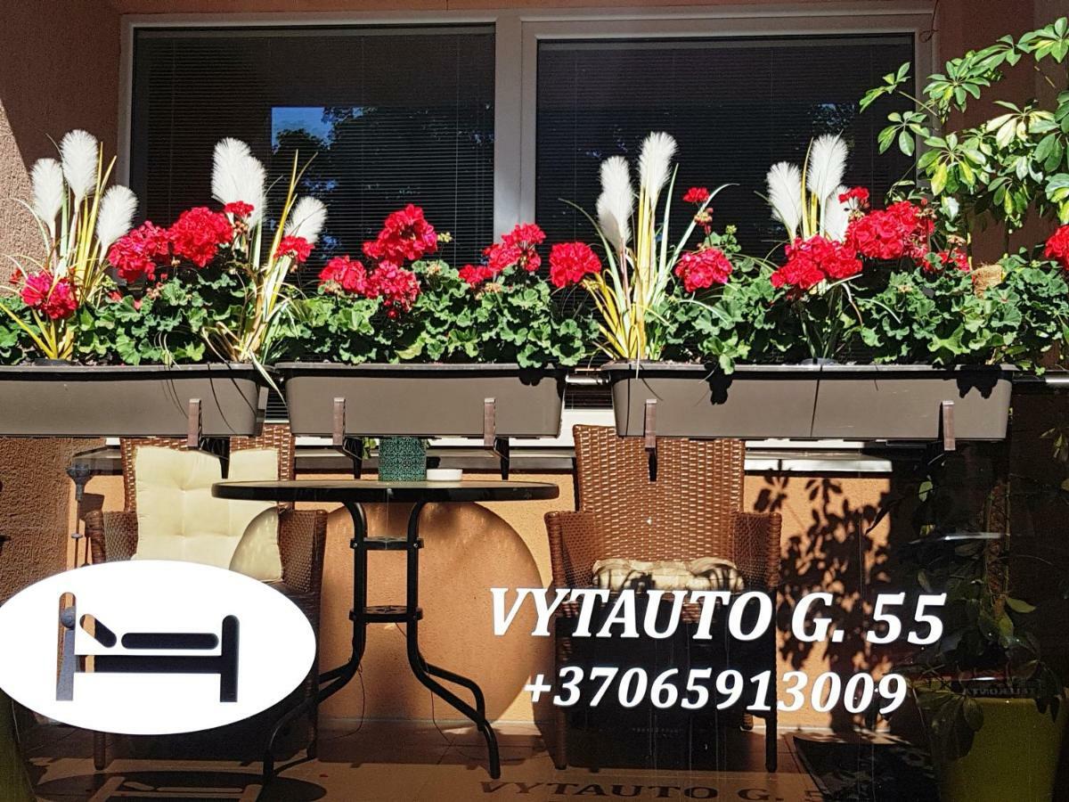 Stilingi Apartamentai Su Virtuve Traku Miesto Centre Trakai Kültér fotó
