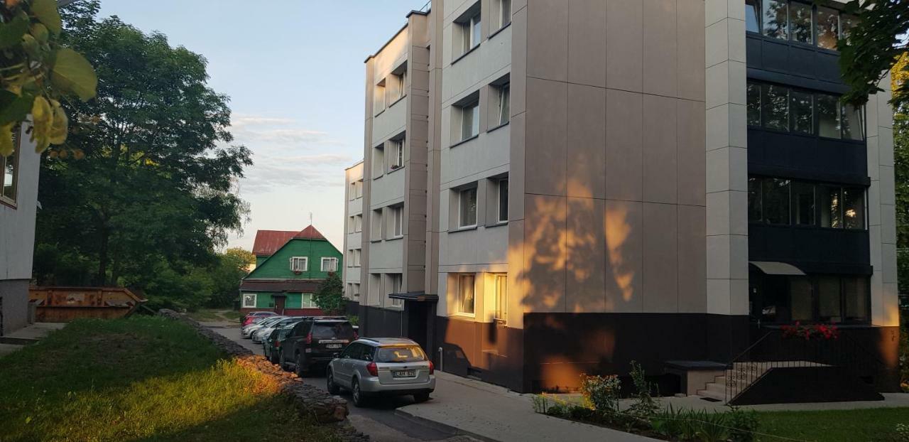 Stilingi Apartamentai Su Virtuve Traku Miesto Centre Trakai Kültér fotó