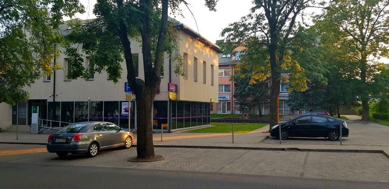 Stilingi Apartamentai Su Virtuve Traku Miesto Centre Trakai Kültér fotó